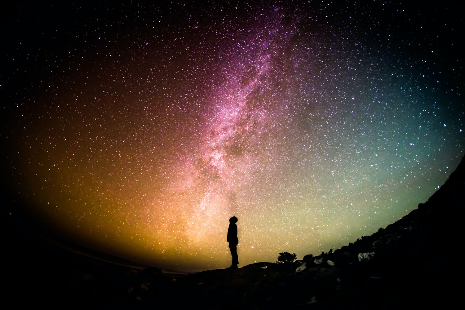 This is an image of a person looking up into the night sky.