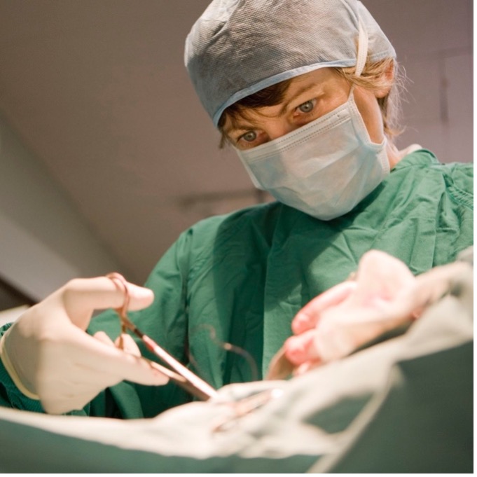 This is an image of a veterinarian performing surgery.